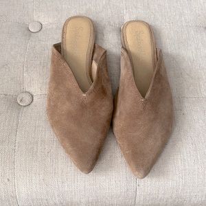 Splendid slide on mules